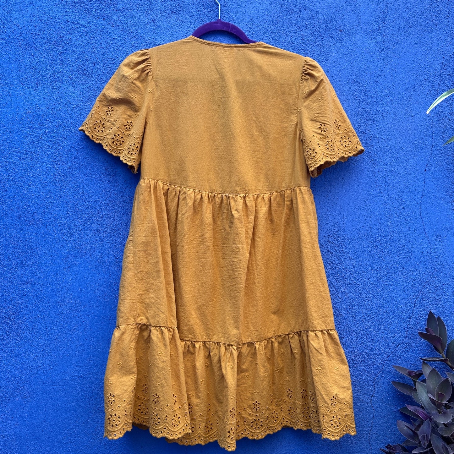 knox rose mustard cotton sweet little dress