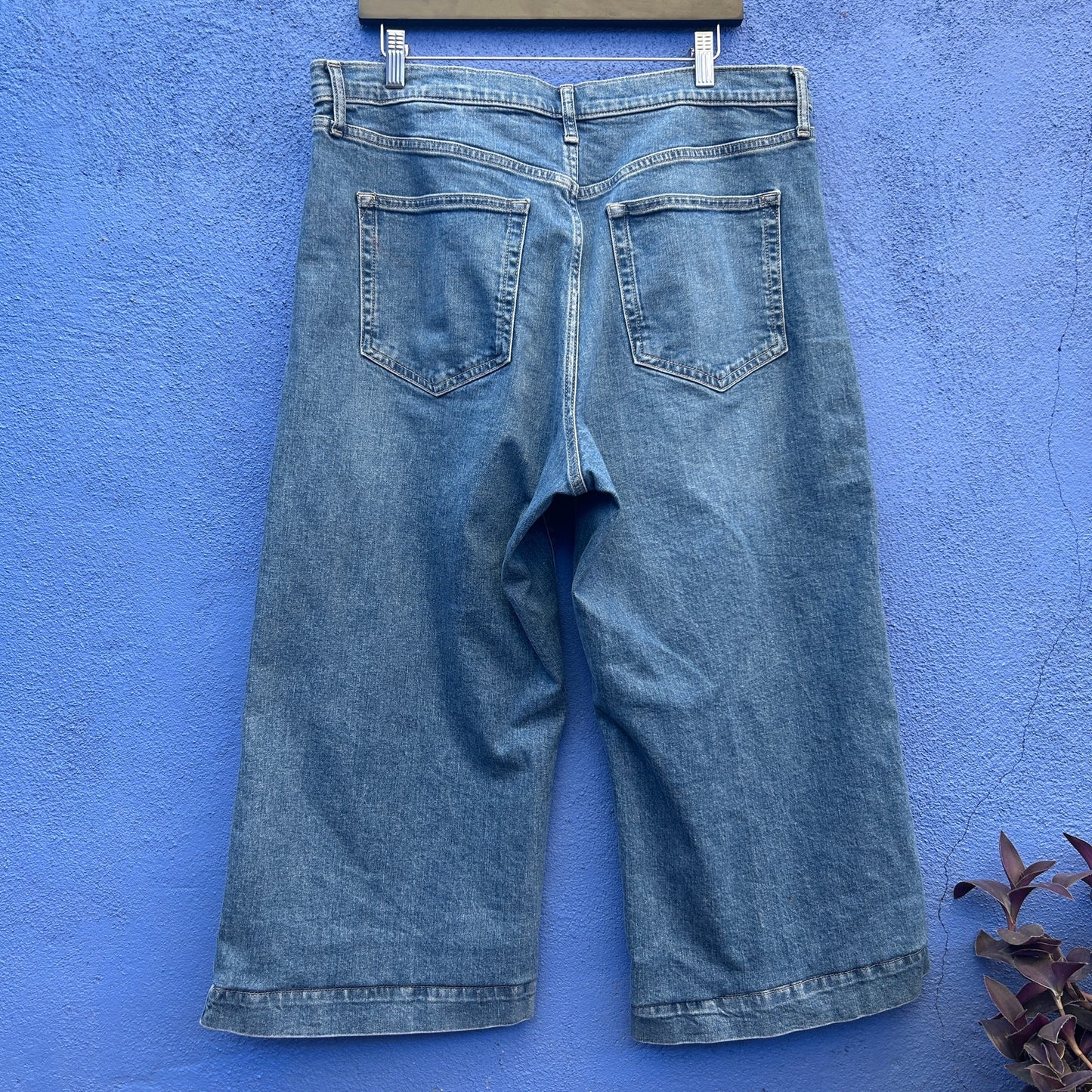 gap high rise wide leg crop jean