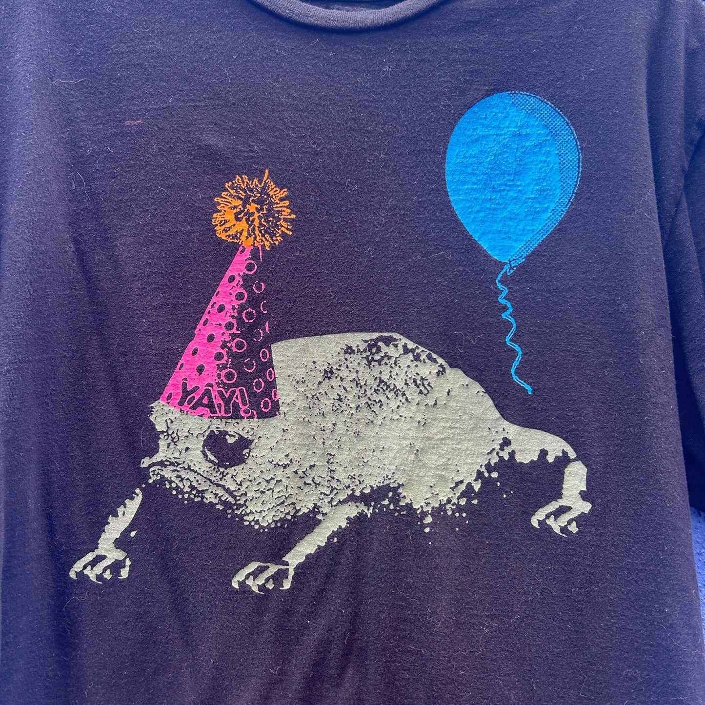 attic salt birthday frog graphic tee