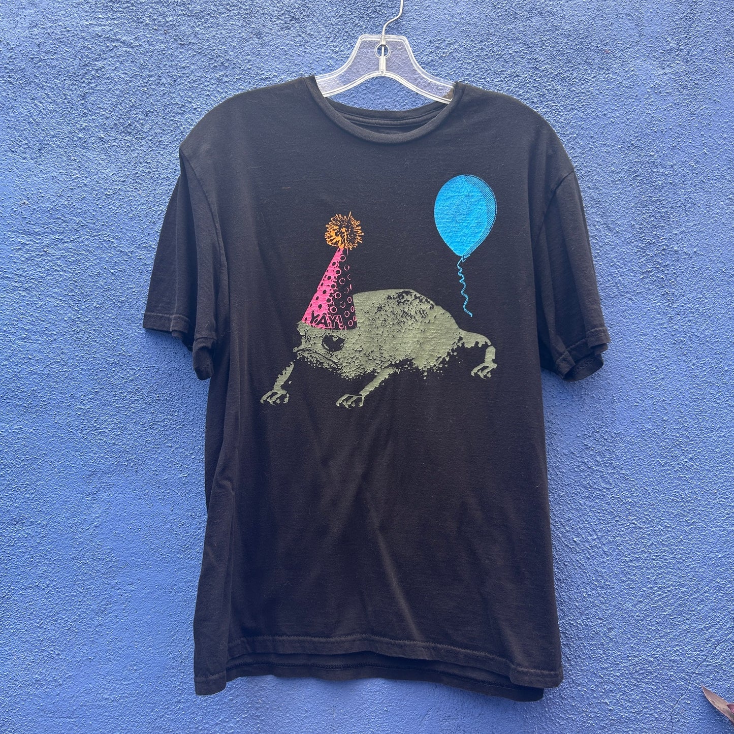 attic salt birthday frog graphic tee