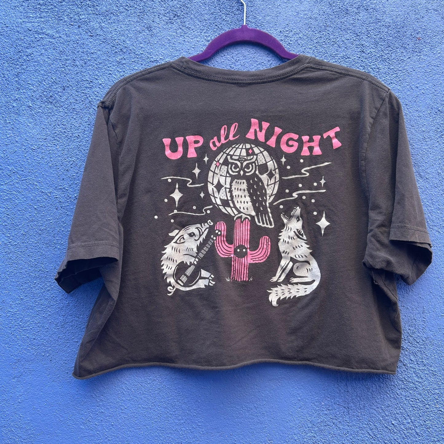 iconic arizona cropped graphic tee