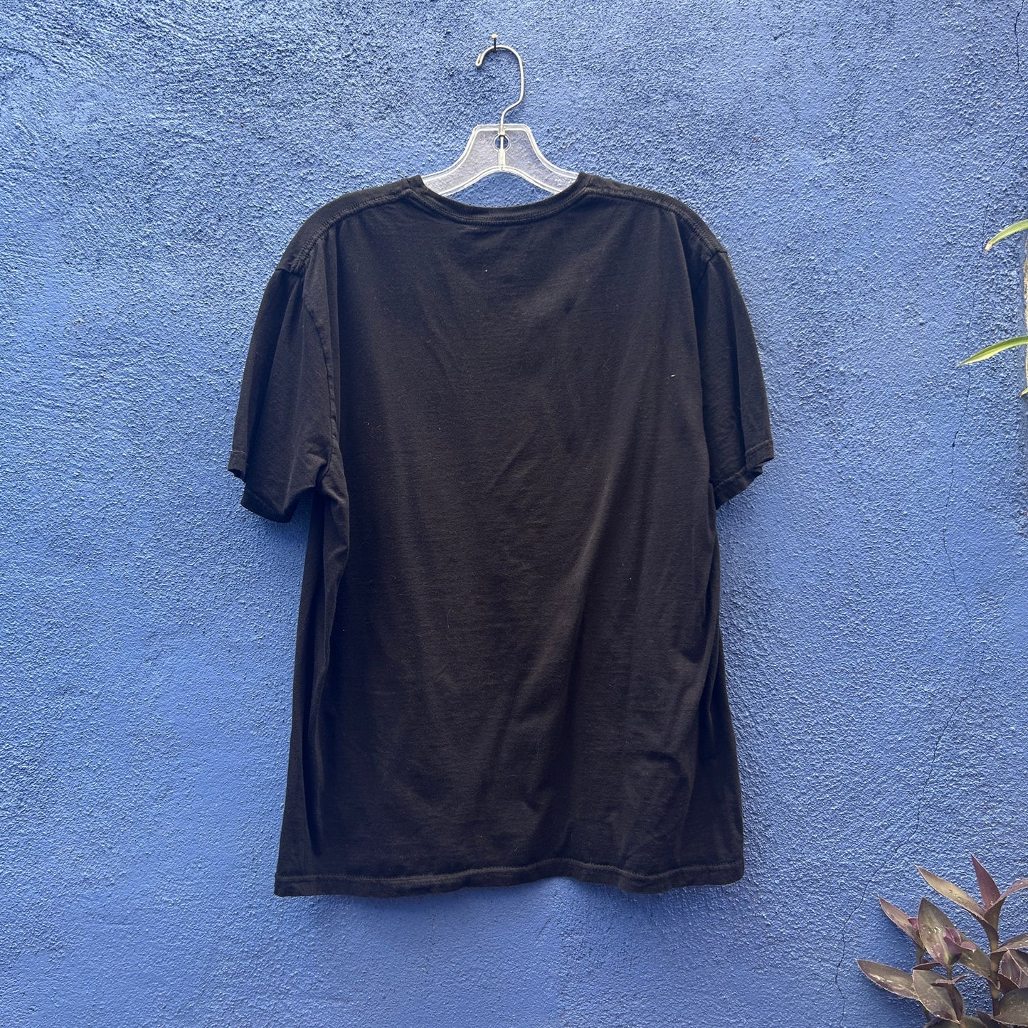 attic salt birthday frog graphic tee