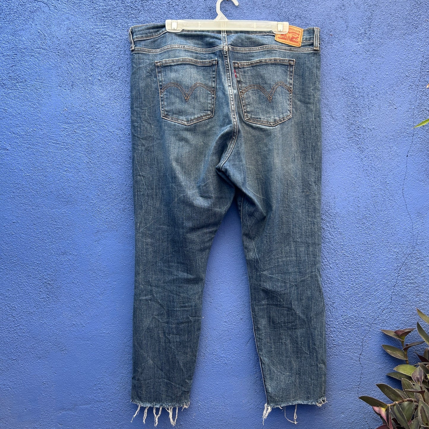 levi's wedgie skinny distressed cropped jeans