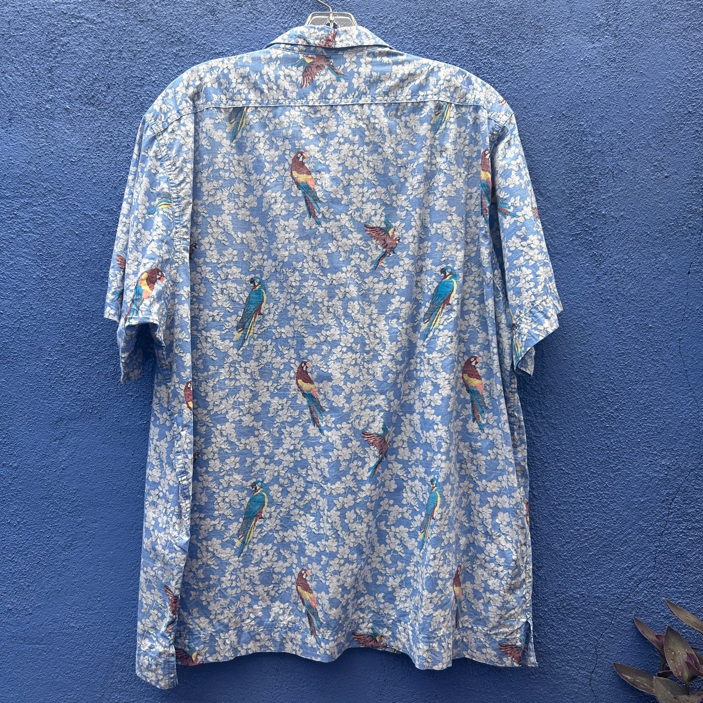 cremieux parrot and floral print short sleeve button up