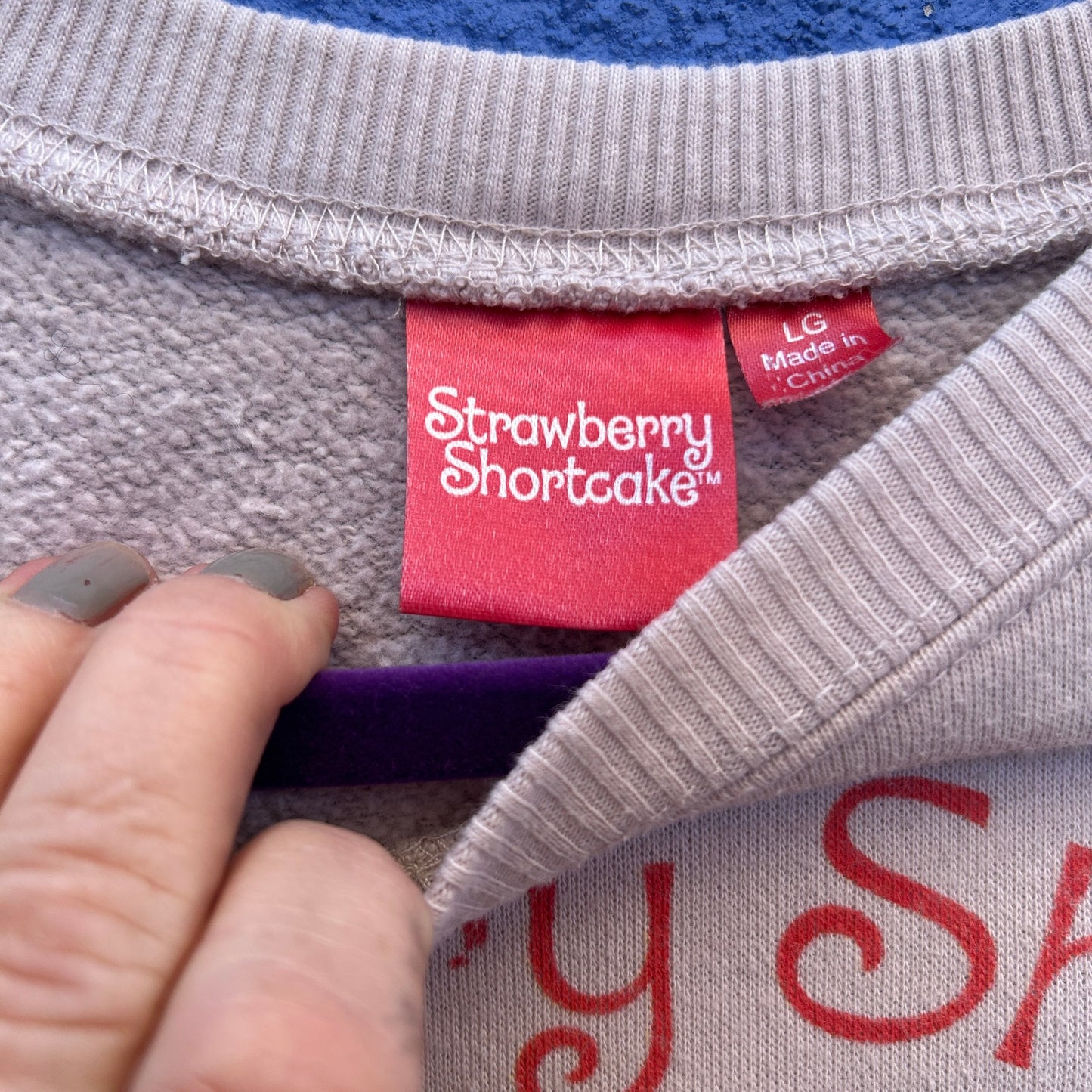 vintage strawberry shortcake sweatshirt