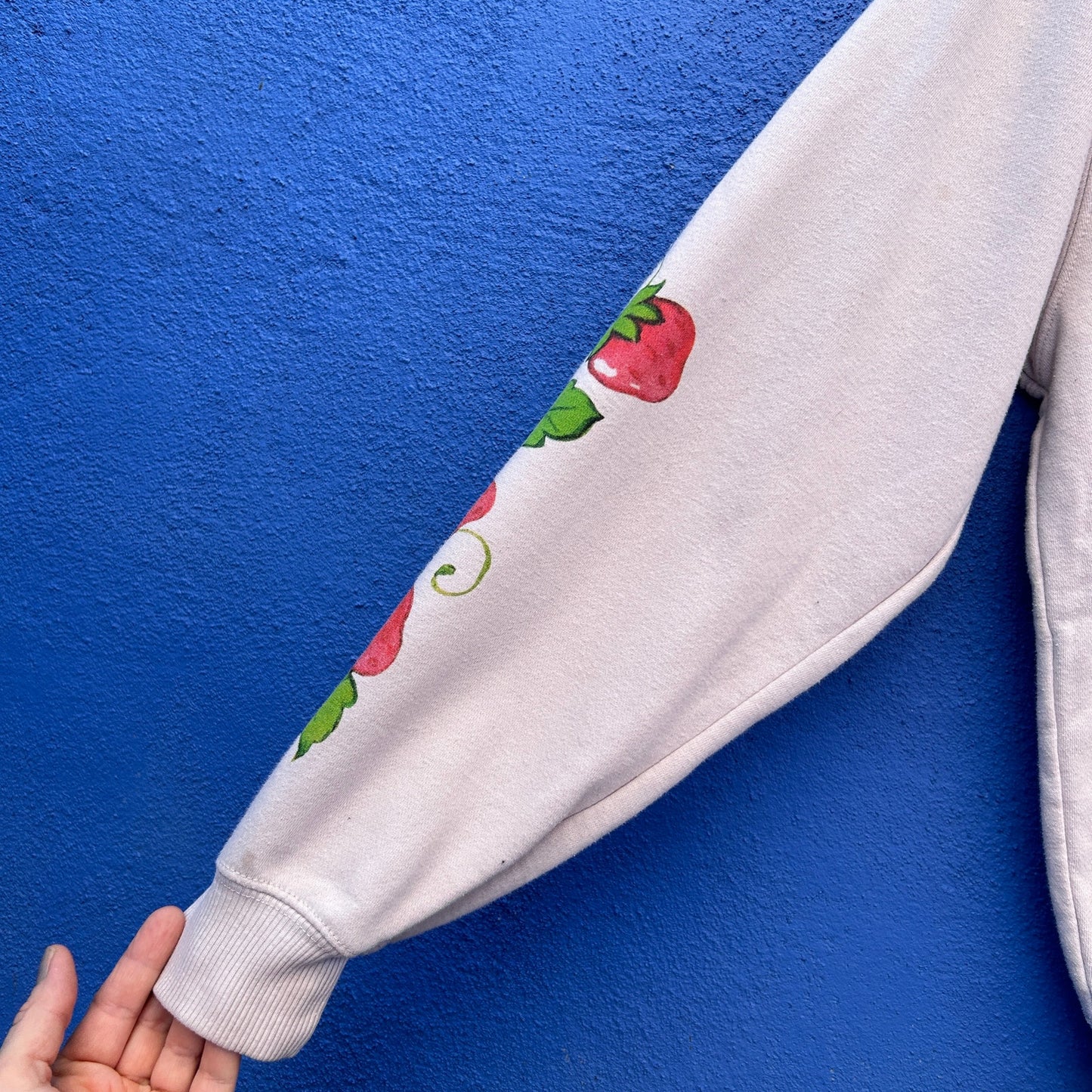 vintage strawberry shortcake sweatshirt