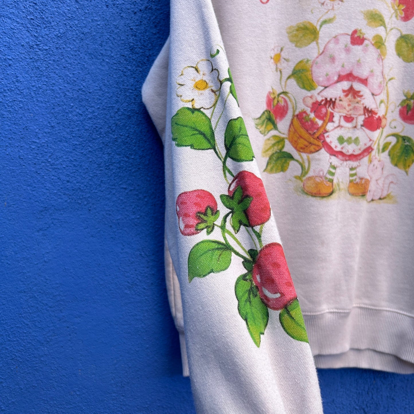 vintage strawberry shortcake sweatshirt