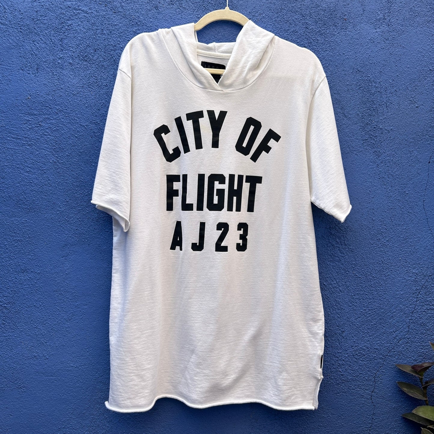 jordan city of flight aj23 white hoodie