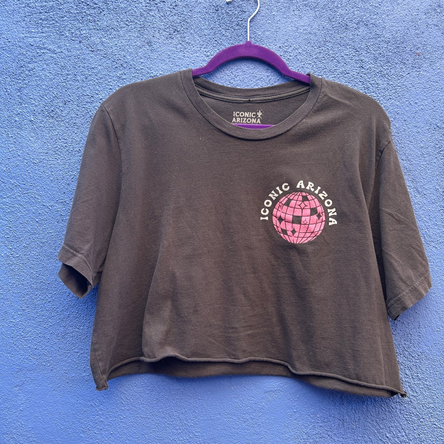 iconic arizona cropped graphic tee