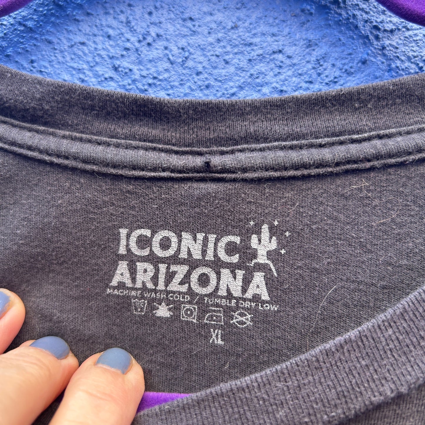 iconic arizona cropped graphic tee