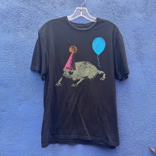 attic salt birthday frog graphic tee